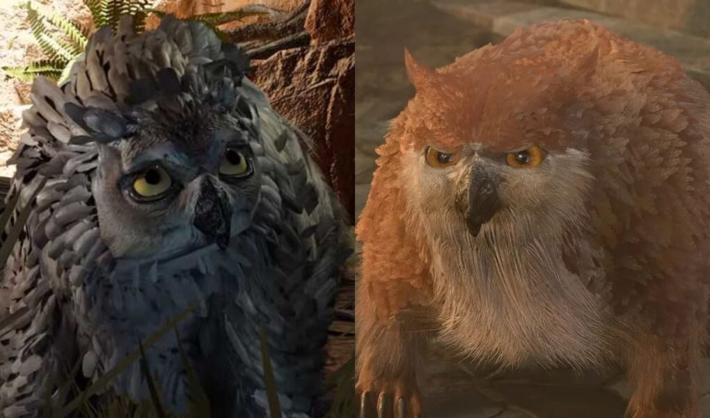 Guide to Owlbear Cubs in Baldur Gate 3