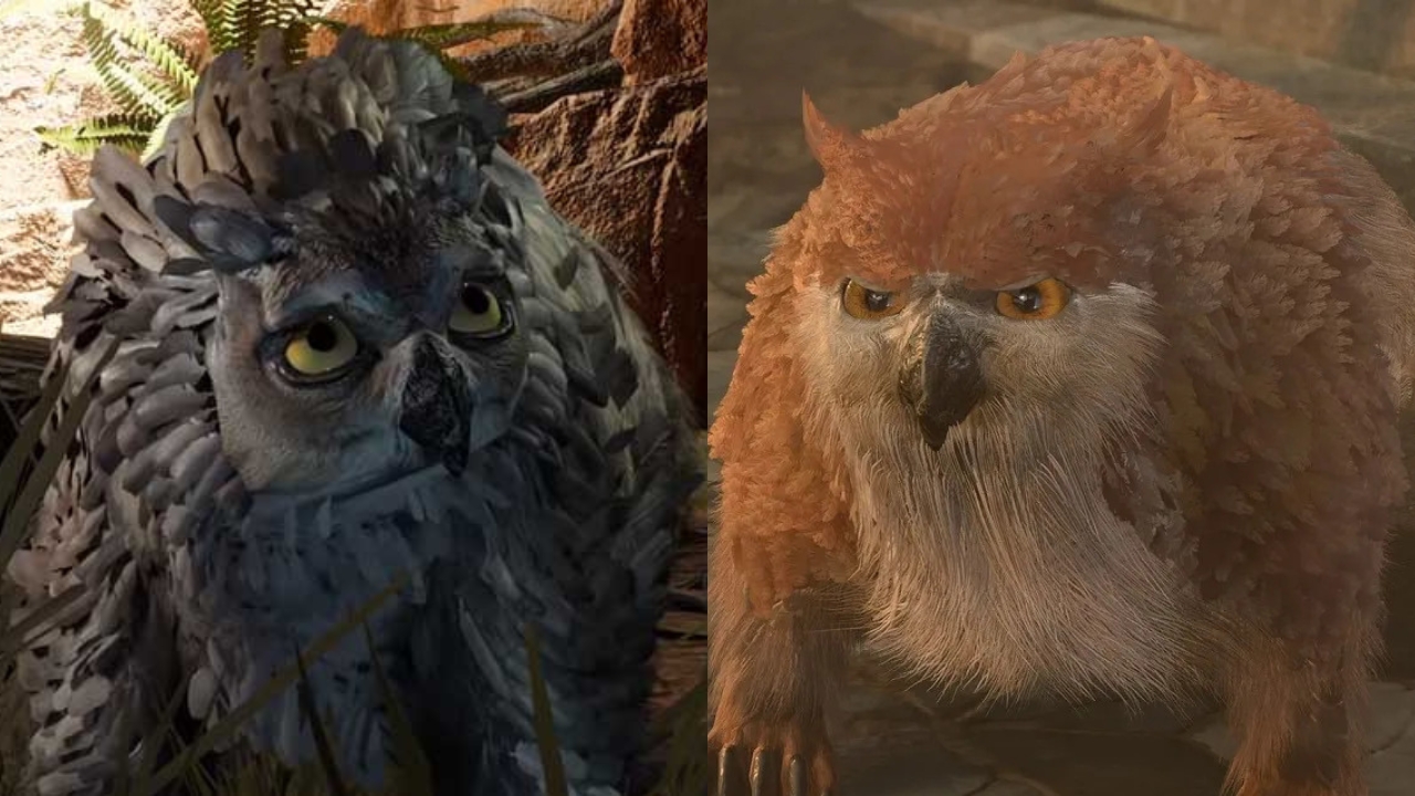 Guide to Owlbear Cubs in Baldur Gate 3