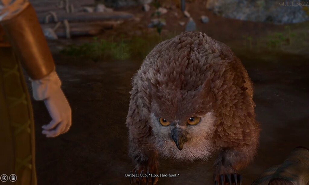 Owlbear Cub in Baldurs Gate 3