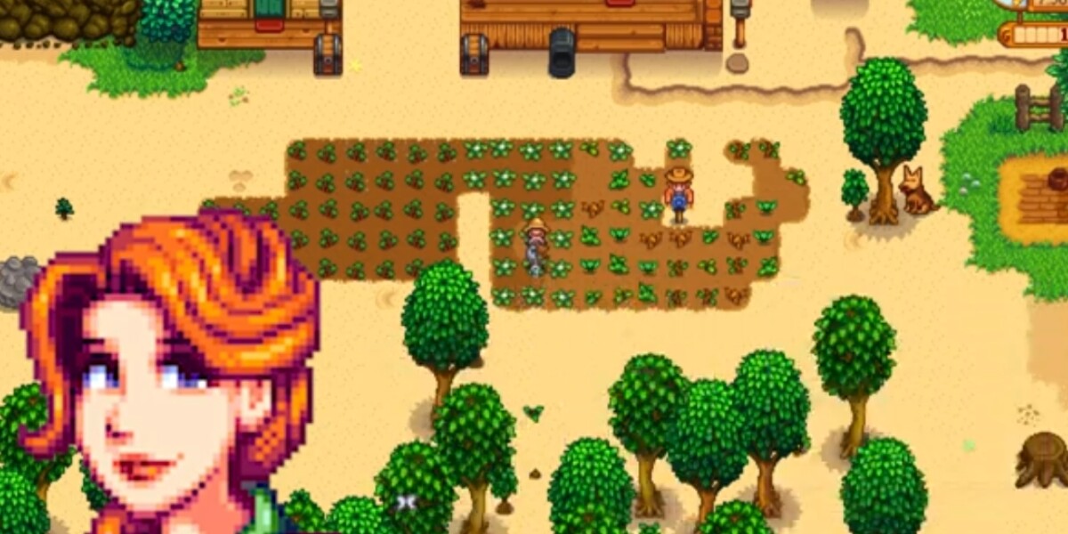 Leah Stardew Valley Banner