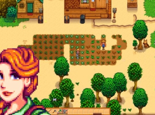 Leah Stardew Valley Banner