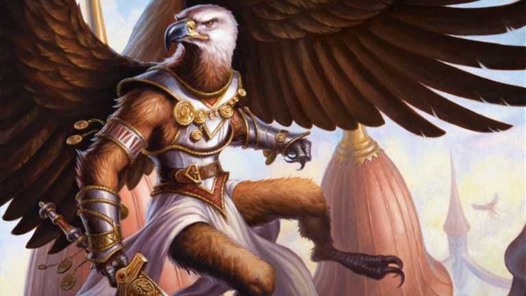 Aarakocra DND Races