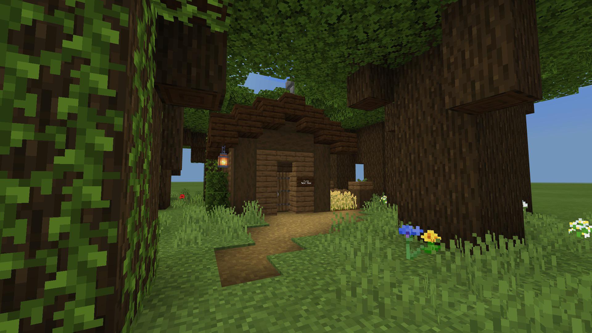 Dark Oak Starter Minecraft